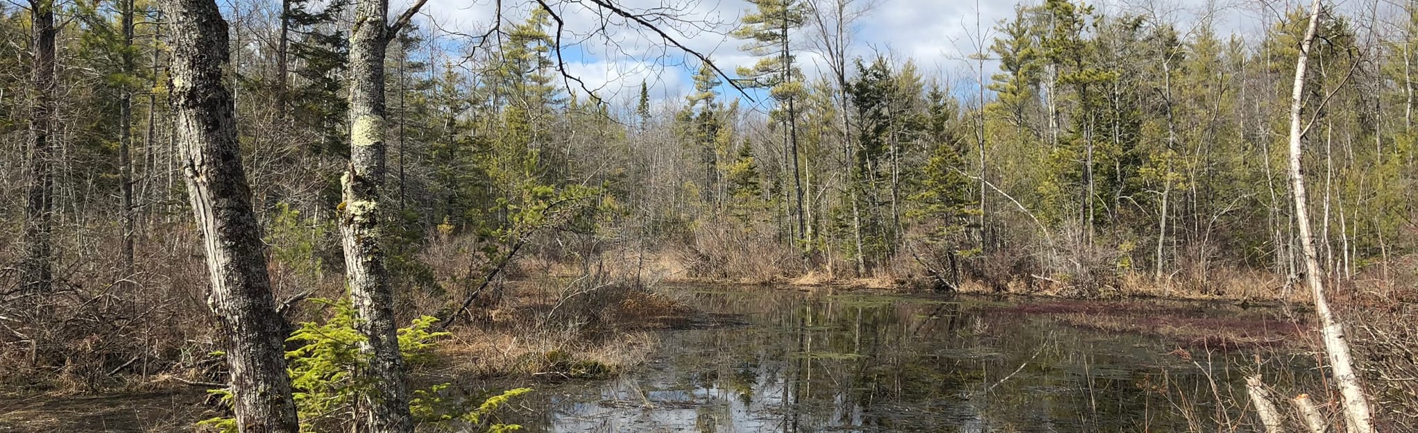 Biddeford to Kennebunk via Eastern Trail, Maine 147 Reviews, Map