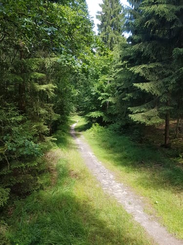 Hasselbrack Rundweg