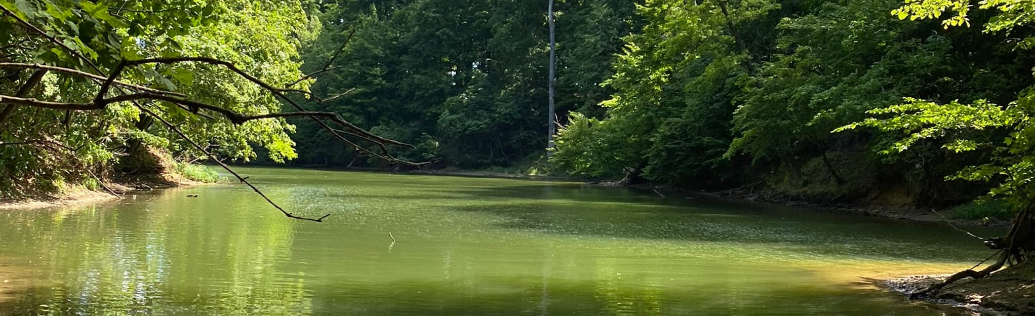 Fay Pickering Memorial Trails, Illinois 158 Reviews, Map AllTrails