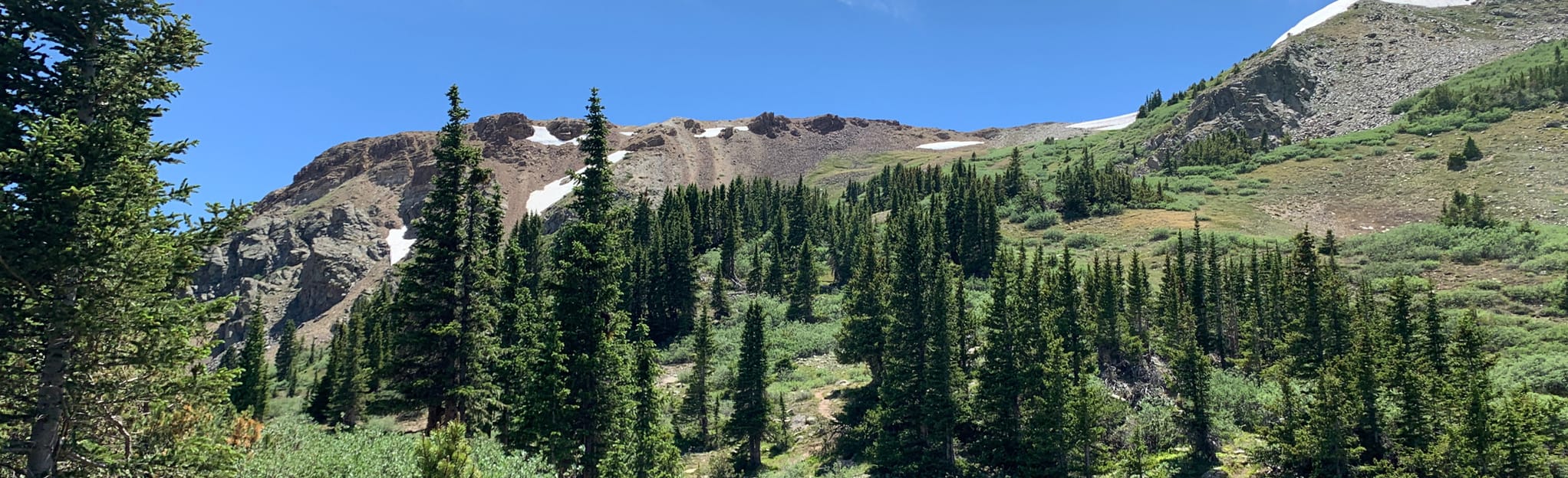 AllTrails Lost Lake Trail [CLOSED] 246 Reviews, Map Colorado