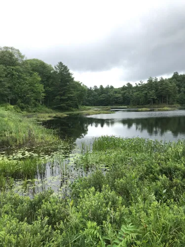 The Best Hiking Trails in Parry Sound