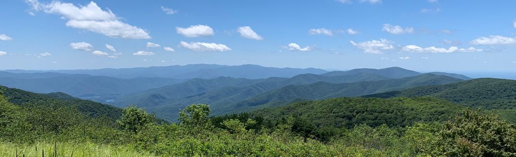 AllTrails Rocky Top from Lead Cove Trailhead: Reviews, Map Tennessee