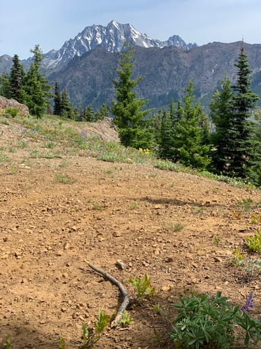 2023 Best 10 Camping Trails In Cle Elum AllTrails