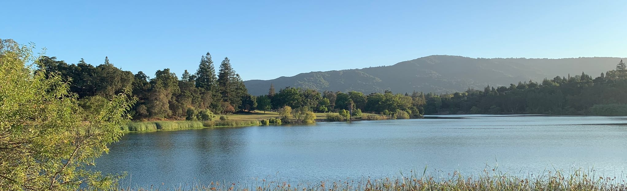 Los Gatos Creek Trail: Fruitdale to Los Gatos: 806 Reviews, Map ...