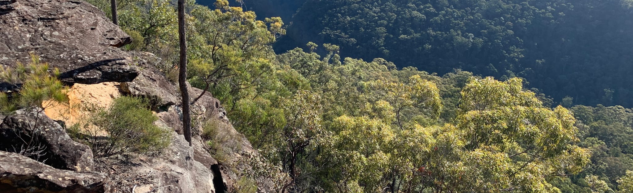 Springwood to Jellybean Pool via Perch Ponds Campsite, New South Wales