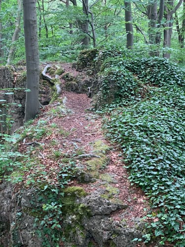 Rundwanderweg Nr.15 "Joggelibrunnen"