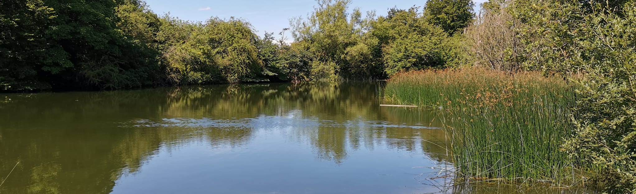 Lime Pits Farm and Park Lime Pits Circular: 35 Reviews, Map - West ...
