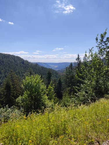 Auf dem 1000-Meter-Weg