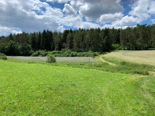 Zoggendorf - Heroldstein - Oberleinleiter