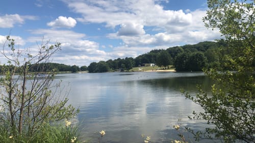 WesterwaldSteig Etappe 2: Breitscheid - Rehe