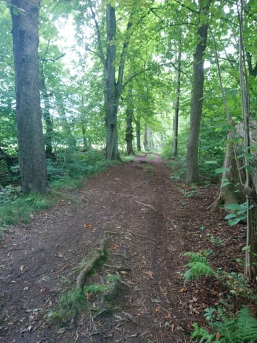 NSG Heidkoppelmoor via Bocksberg von Wulfsdorfer Weg