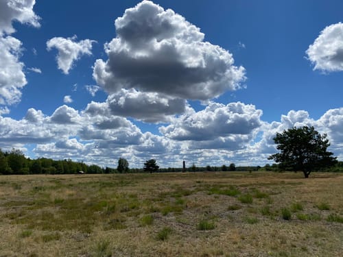 In der Döberitzer Heide zum Schafsgehege