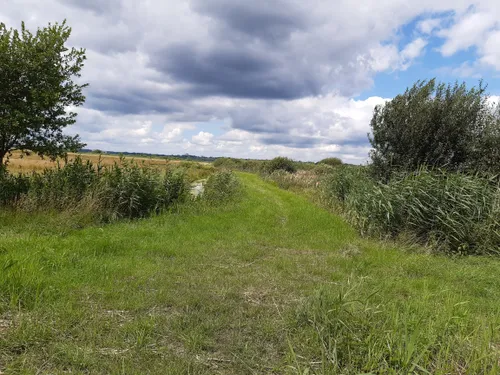 Dunger See - hikes and trails to get you there | AllTrails