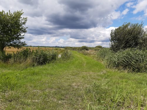 Knoops Park - Werderland - Dunger See
