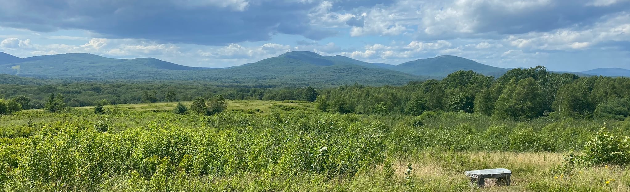 AllTrails Woods Loop Trail 296 Reviews, Map Maine