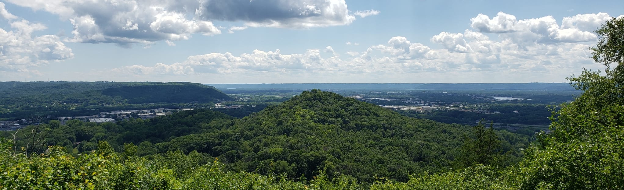 Greens Coulee Overlook via Loggers Loop, Clearwater, and Pierce Trail, Wisconsin 56 Reviews
