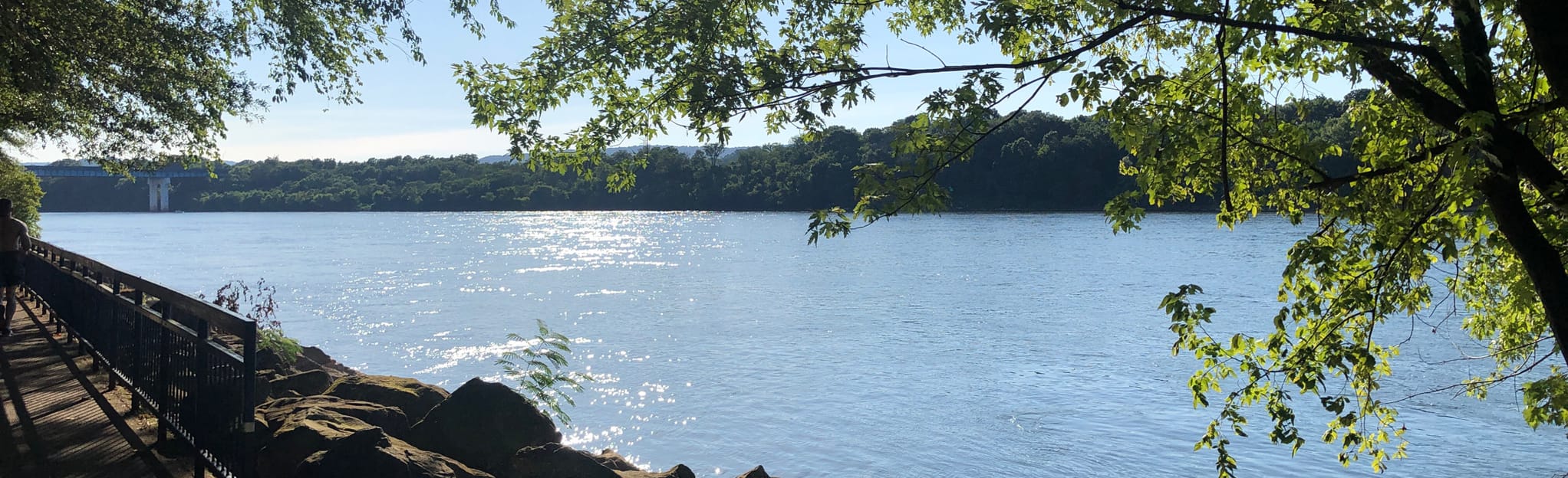 Tennessee Riverwalk Short Path 240 Reviews, Map Tennessee AllTrails