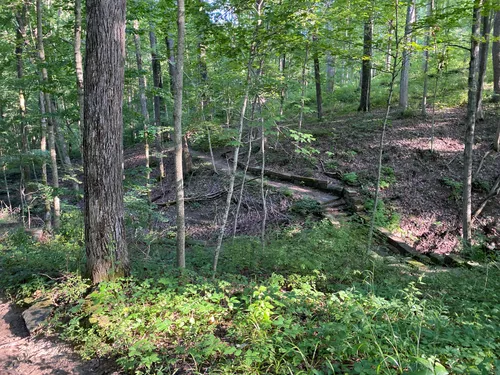 10 Best Views Trails in Brown County - EyJidWNrZXQiOiJhc3NldHMuYWxsdHJhaWxzLmNvbSIsImtleSI6InVwbG9hZHMvcGhvdG8vaW1hZ2UvMjc2NjAyNDIvYTg2OWJlMGZiOGZjMGQ5NDAwYjA2NDQ2ZTg3OTE1NzAuanBnIiwiZWRpdHMiOnsidG9Gb3JtYXQiOiJ3ZWJwIiwicmVzaXplIjp7IndpZHRoIjo1MDAsImhlaWdodCI6NTAwLCJmaXQiOiJpbnNpZGUifSwicm90YXRlIjpudWxsLCJqcGVnIjp7InRyZWxsaXNRdWFudGlzYXRpb24iOnRydWUsIm92ZXJzaG9vdERlcmluZ2luZyI6dHJ1ZSwib3B0aW1pc2VTY2FucyI6dHJ1ZSwicXVhbnRpc2F0aW9uVGFibGUiOjN9fX0=