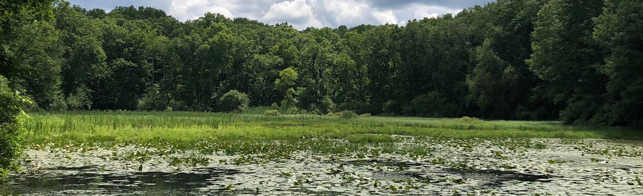 Pinnacle Point: 153 Reviews, Map - Michigan | AllTrails