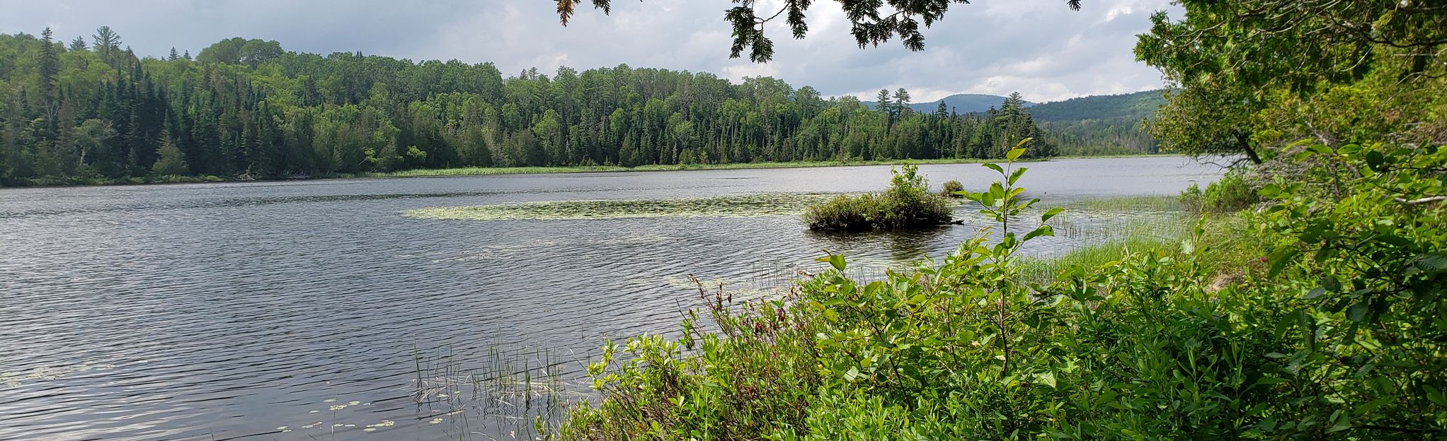 Hunter Cove Wildlife Sanctuary Loop: 64 foto - Maine | AllTrails