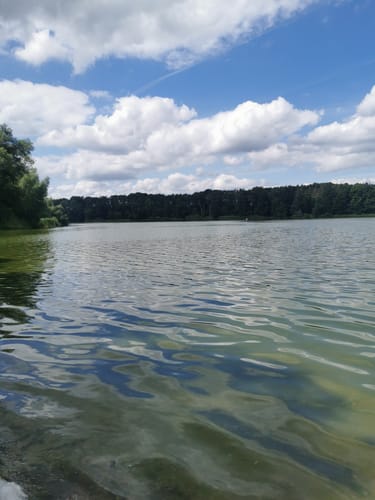 Einfelder und Bordesholmer See