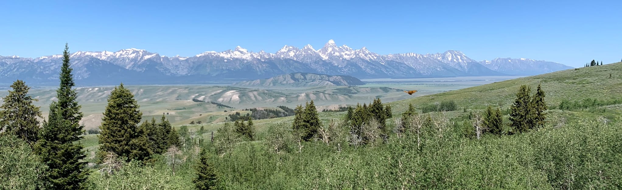 Sheep Mountain: 240 Reviews, Map - Wyoming | AllTrails