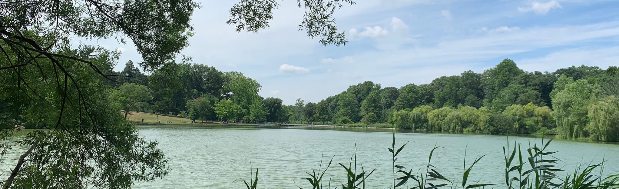 Kissena Lake Loop, 82 Fotos New York AllTrails