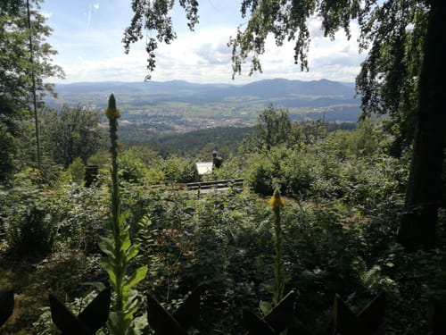 Goldsteig Nordroute Etappe 10: Herzogau nach Furth im Wald