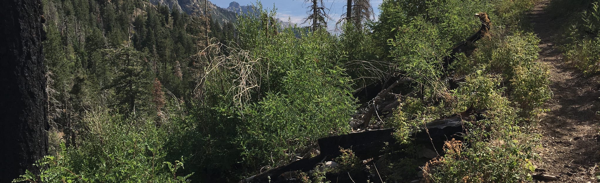 AllTrails Arcadia Trail 328 36 Reviews, Map Arizona