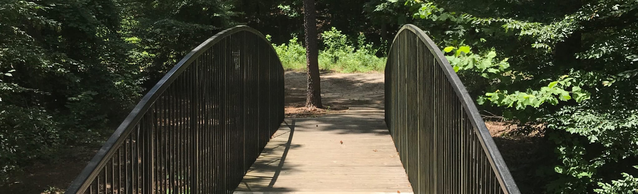 Bentwood Trail, 6 Reviews, Map AllTrails