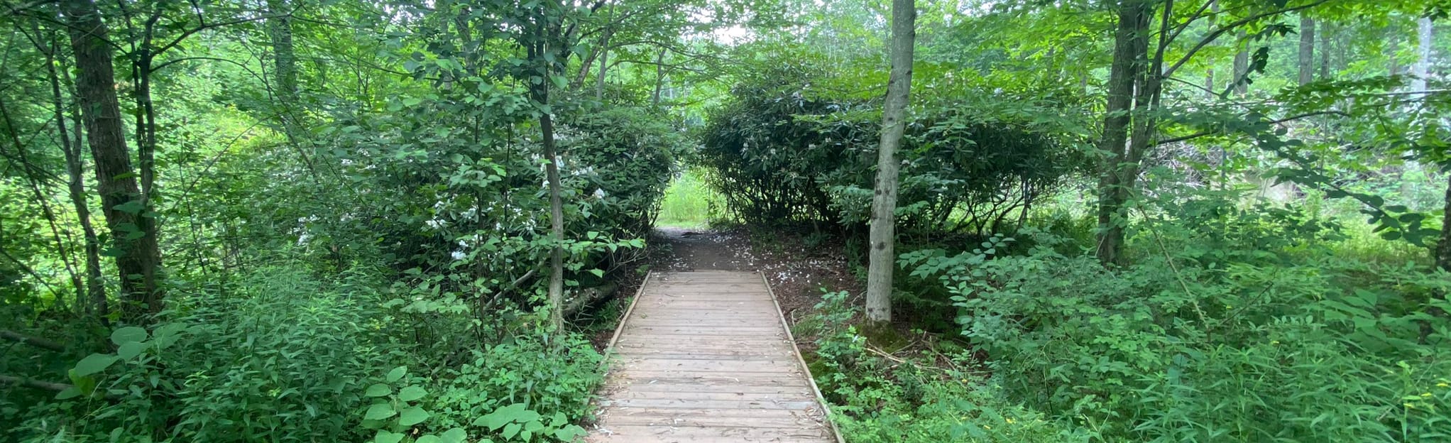 Creekside Trail (Yellow), Pennsylvania 267 Reviews, Map AllTrails