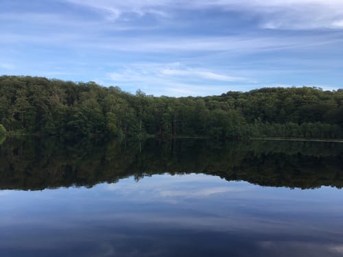 Schwarzer See Rundweg 