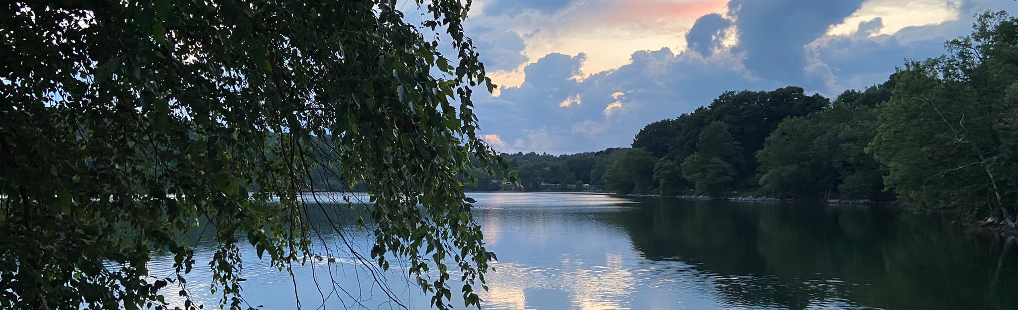 Jamaica Pond 375 Reviews, Map Massachusetts AllTrails