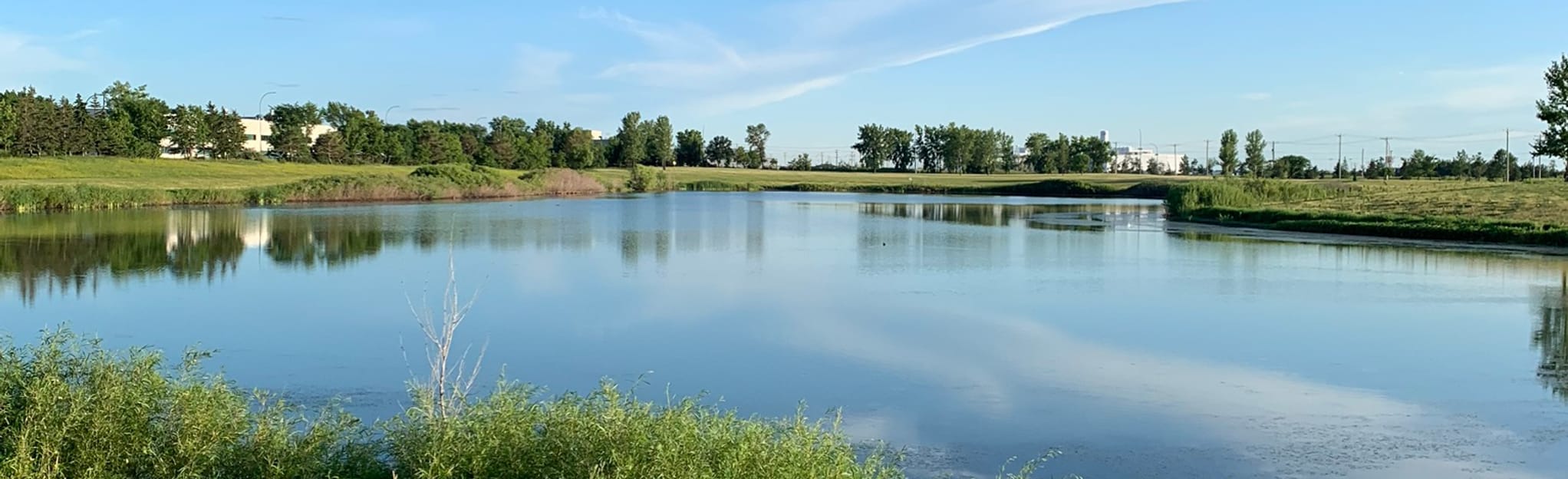 Mazenod Pond Loop Manitoba Canada 9 Reviews Map Alltrails