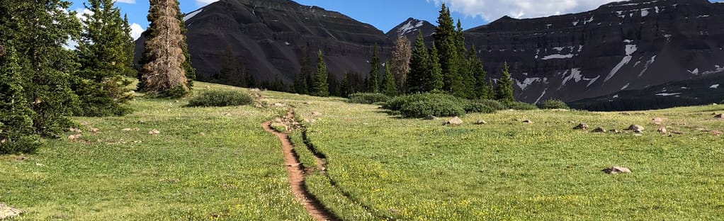 Henry's hotsell fork trailhead