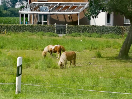 Lippenniederung bei Sande Rundweg