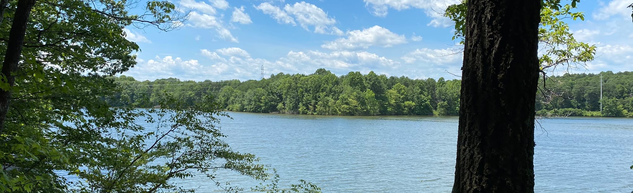 Osprey Trail 455 Reviews, Map North Carolina AllTrails