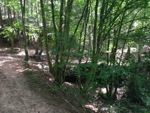 Rothenberg-Weg (Premiumwanderweg)