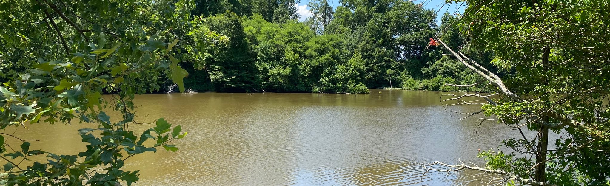 Eagle Scout Trail 13 Reviews, Map Virginia AllTrails