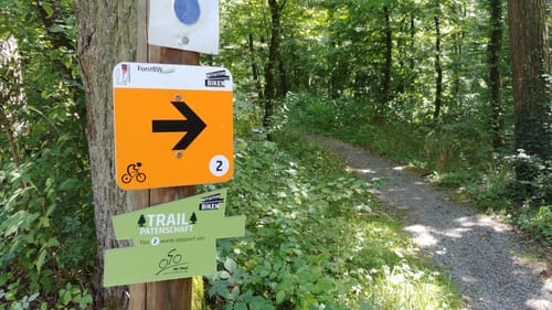 IVB MTB Tour Nr. 2: Salzweg