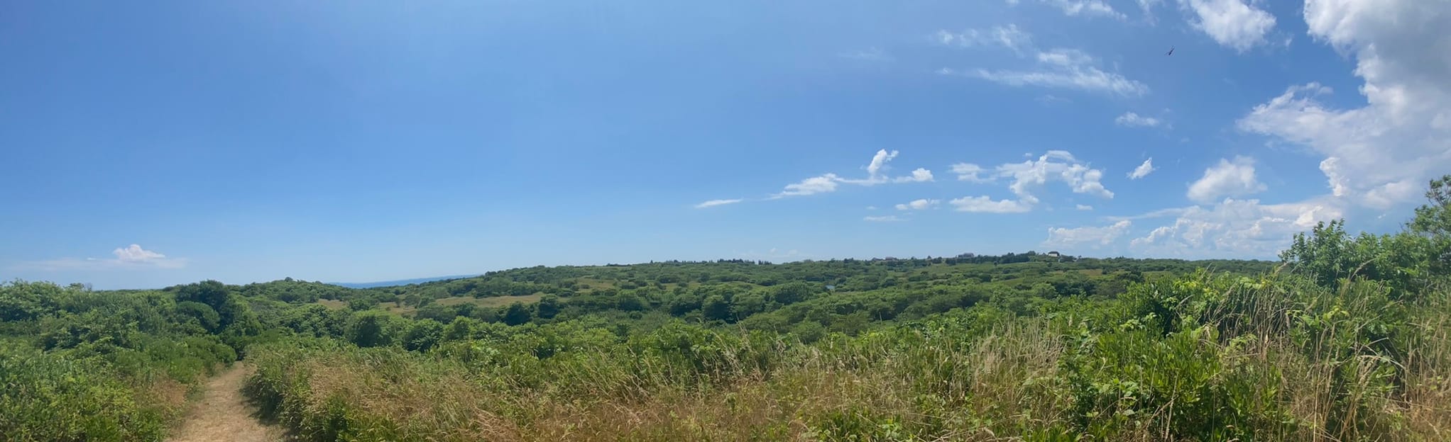 Rodman's Hollow Trail, Rhode Island 175 Reviews, Map AllTrails