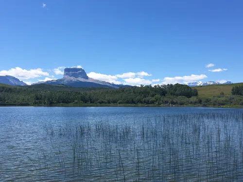 Best Hikes and Trails in Police Outpost Provincial Park AllTrails