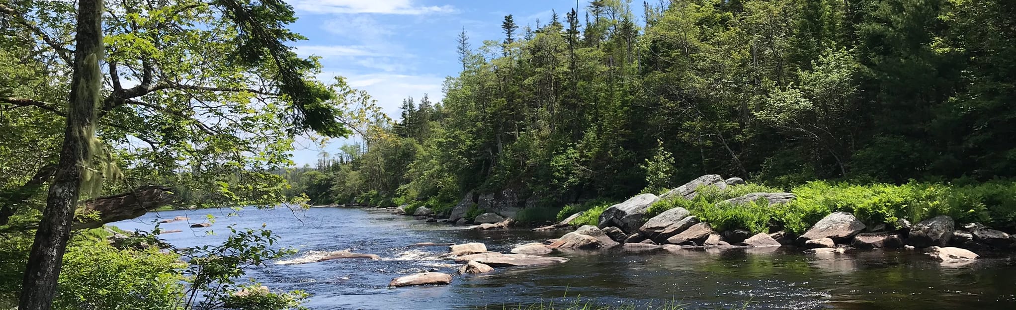 River Loop 114 Reviews, Map Nova Scotia, Canada AllTrails