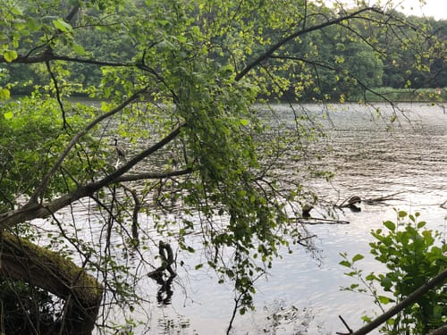 Köpenicker Stadtforst zwischen Gosen und Müggelheim