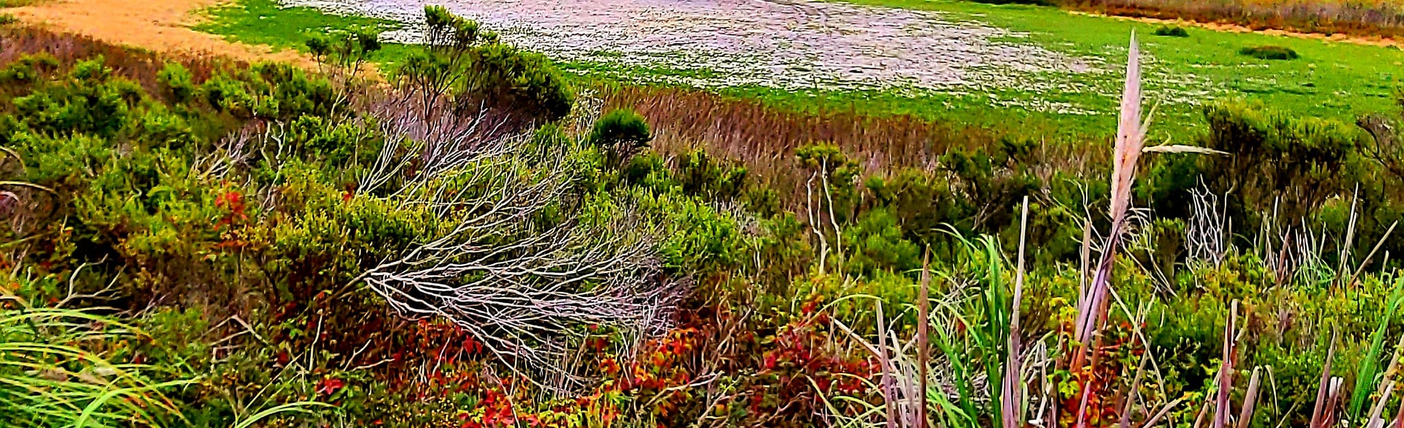 AllTrails Punch Bowl Lake Loop [PRIVATE PROPERTY] 13 Reviews, Map