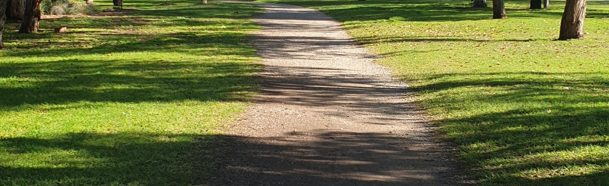 Donaldson Creek Trail Victoria, Australië Wandelen AllTrails