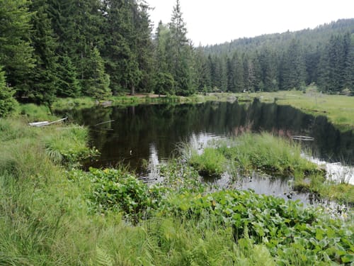 Rundwanderweg Kleiner Arbersee