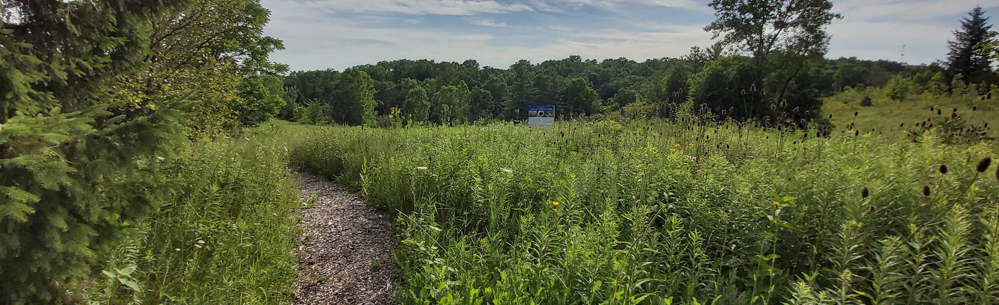 Wardsville Woods Trail, Ontario, Canada 33 Reviews, Map AllTrails