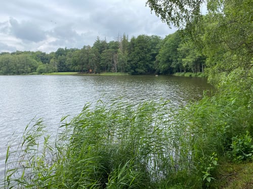 Walkenried - Sachsenstein - Kranichteiche