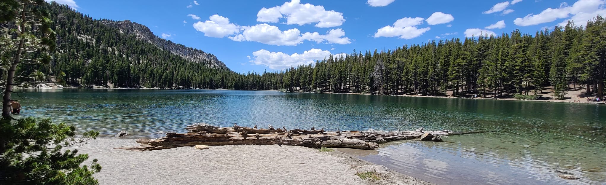 Mammoth Pass Trail and McLeod Lake, California 86 Reviews, Map